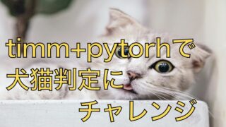 PyTorch+TIMMでクラス分類（犬猫分類）にチャレンジ