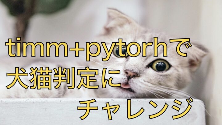 timm+pytorchで犬猫判定